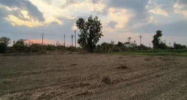 Agricultural Land for Rent in Hingna, Nagpur