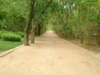 4 BHK Farm House for Sale in Shilaj, Ahmedabad