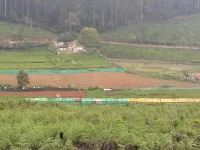  Agricultural Land for Sale in Kotagiri, Nilgiris