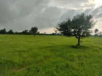  Agricultural Land for Sale in Sumerpur Pali