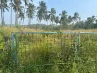  Residential Plot for Sale in Kolazhy, Thrissur