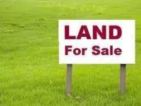 Agricultural Land for Sale in Jagraon, Ludhiana