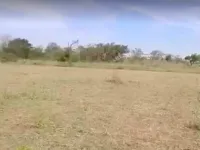  Agricultural Land for Sale in Malavalli, Mandya