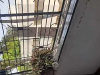 2 BHK Flat for Sale in Vishrambag, Sangli