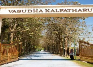 10890 Sq.ft. Agricultural/Farm Land for Sale in Denkanikottai, Krishnagiri