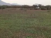  Residential Plot for Sale in Pichatur, Chittoor