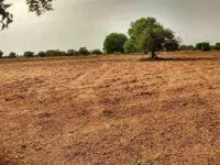  Agricultural Land for Sale in Balasinor, Mahisagar
