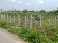  Residential Plot for Sale in Yelwal, Mysore
