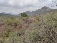  Agricultural Land for Sale in Andipatti Jakkampatti, Theni