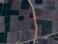  Agricultural Land for Sale in Gurazala, Guntur