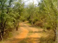  Agricultural Land for Sale in Sangameshwar, Ratnagiri