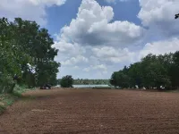  Agricultural Land for Sale in Sindhrot, Vadodara