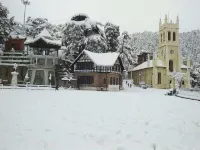 3 BHK Flat for Sale in Bharari, Shimla