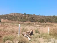 Industrial Land for Sale in Chakan, Pune