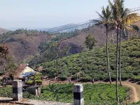  Agricultural Land for Sale in Kumily, Idukki