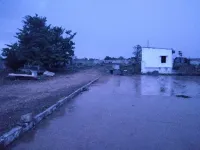  Residential Plot for Sale in Thingalur, Erode