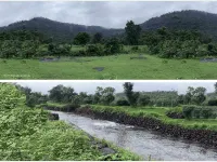 Agricultural Land for Sale in Sudhagad, Raigad