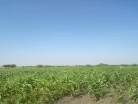  Agricultural Land for Sale in Kusugal Road, Hubli