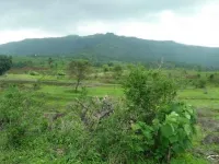 Agricultural Land for Sale in Pavana Lake, Pune