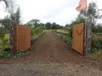 Agricultural Land for Sale in Uruli Kanchan, Pune
