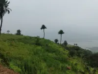 Agricultural Land for Sale in Bhor, Pune