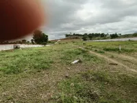  Agricultural Land for Sale in Yavat, Pune