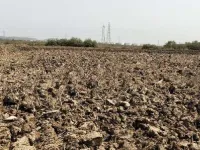  Residential Plot for Sale in Chirle, Navi Mumbai