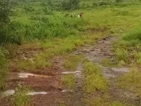  Residential Plot for Sale in Khalapur, Raigad