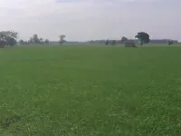  Agricultural Land for Sale in GT Road, Khanna