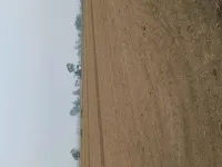  Industrial Land for Sale in Kohara, Ludhiana