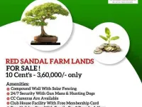  Agricultural Land for Sale in Kanigiri, Prakasam