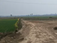  Residential Plot for Sale in Delhi More, Darbhanga