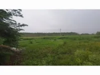  Agricultural Land for Sale in Bellampalle, Mancherial