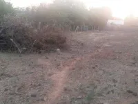  Residential Plot for Sale in Devakottai, Sivaganga