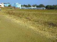  Residential Plot for Sale in Sector 108 Noida
