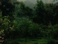  Agricultural Land for Sale in Periyakulam, Theni