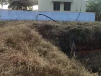  Agricultural Land for Sale in Pollachi, Coimbatore