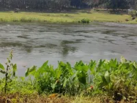 Agricultural Land for Sale in Pollachi, Coimbatore