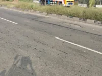  Agricultural Land for Sale in Mahalingapuram, Pollachi, Coimbatore