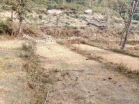  Residential Plot for Sale in Baijnath, Kangra