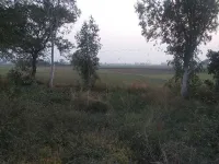  Agricultural Land for Sale in Nh 44, Rajpura