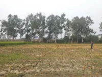  Agricultural Land for Sale in NH 1, Rajpura