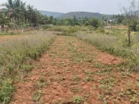  Agricultural Land for Sale in Mysore Road, Bangalore