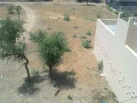  Residential Plot for Sale in Fatehpur, Sikar