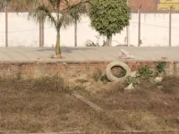  Residential Plot for Sale in Rohta Road, Meerut