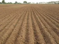  Agricultural Land for Sale in Anjar, Kutch