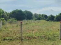 Residential Plot for Sale in Courtallam, Tirunelveli