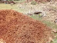  Residential Plot for Sale in Mayiladuthurai, Nagapattinam