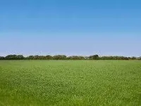  Residential Plot for Sale in Bheemunipatnam, Visakhapatnam