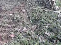  Residential Plot for Sale in Arithang, Gangtok